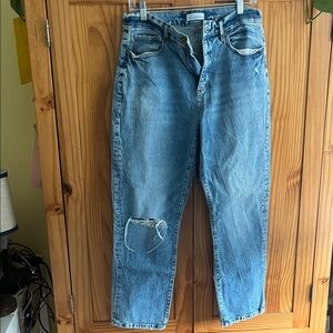 LOFT Women's High Rise Blue Jeans